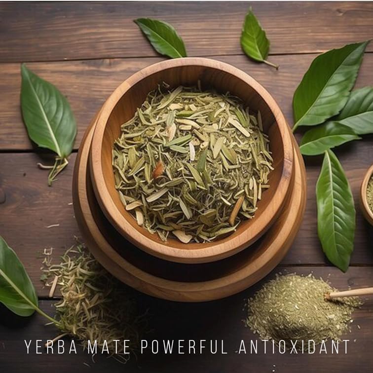 Yerba Mate Tea Plant (4 Pack) | Real Live Plant for Sale | Perfect for Tea Lovers | Hardy and Easy to Grow for Planting | Grow Organic Tea Leaves at Home | Great for Indoor or Outdoor Gardens