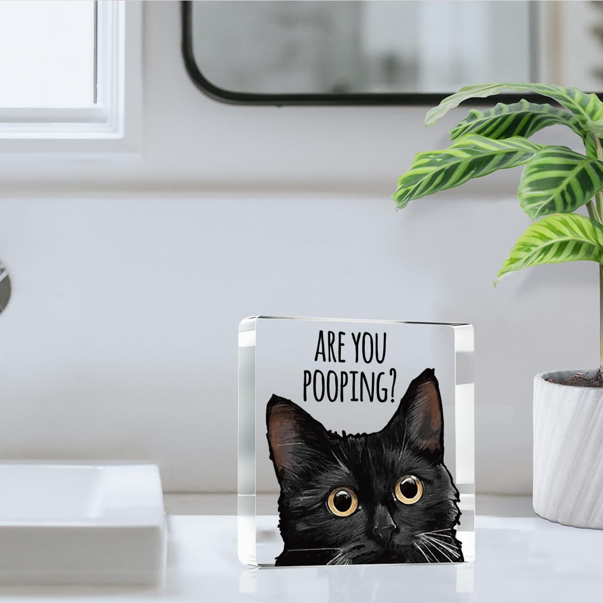 Are You Pooping Funny Sign,Black Cat Decor, Cat Bathroom Acrylic Decor,Home Decor Bathroom Creative Gift Cat Gifts for Women Cat Lovers,Funny Decorate Retro for Home Toilet