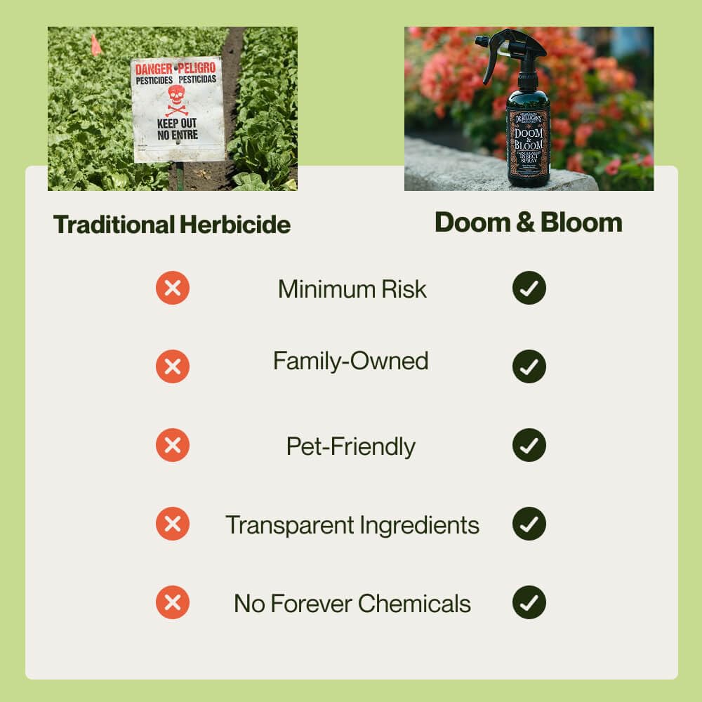 Dr. Killigan’s Doom & Bloom House Plant Pest Spray - for Outdoor & Indoor Gardening, Kills Aphids, Spider Mites & Thrips on Contact, with Adjustable Trigger Sprayer (16 oz)
