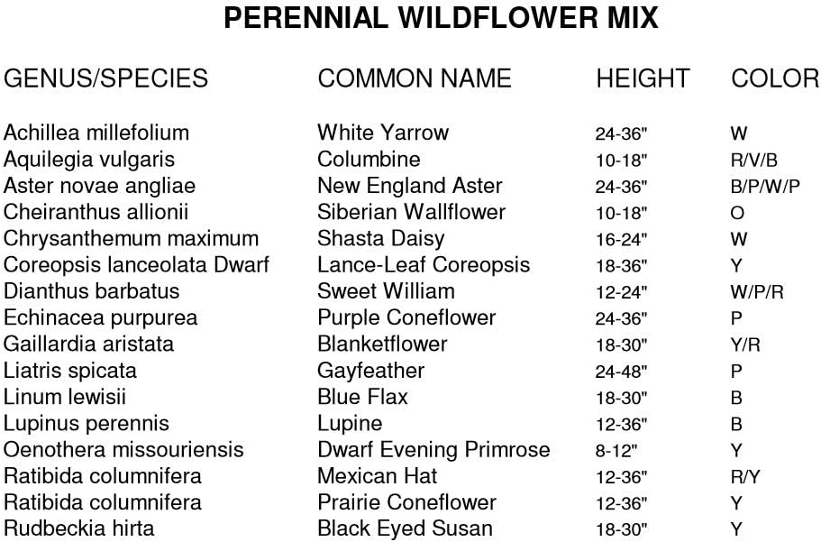 Dirt Goddess Super Seeds ~ All Perennial Wildflower Seed Mix (1/4 Lb) 84,000 Seeds Non GMO Bulk