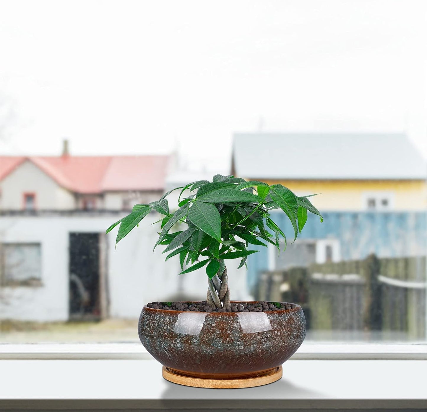 8 Inch Ceramic Bonsai Planter Pot, Glazed Shallow Succulent Planter with Drainage Hole and Bamboo Saucer for Indoor Plants, Green