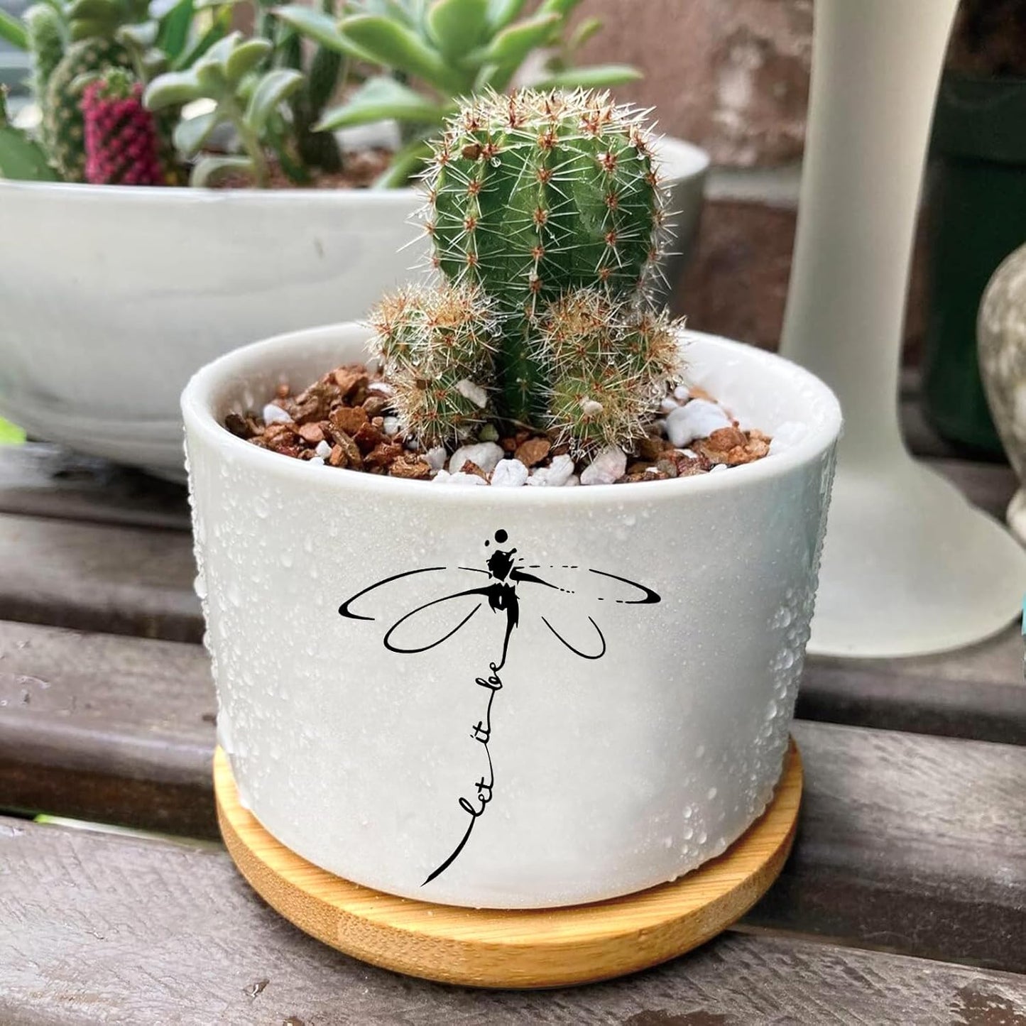 Window Garden Dragonfly Planter Pots,Dragonfly Gifts for Women/Men/Housewarming/Wedding/Festival Birthday Gifts Planter Pots,Outdoors/Indoors,Window Decor,Garden Decor,Yard Decor,Home Decor,Office