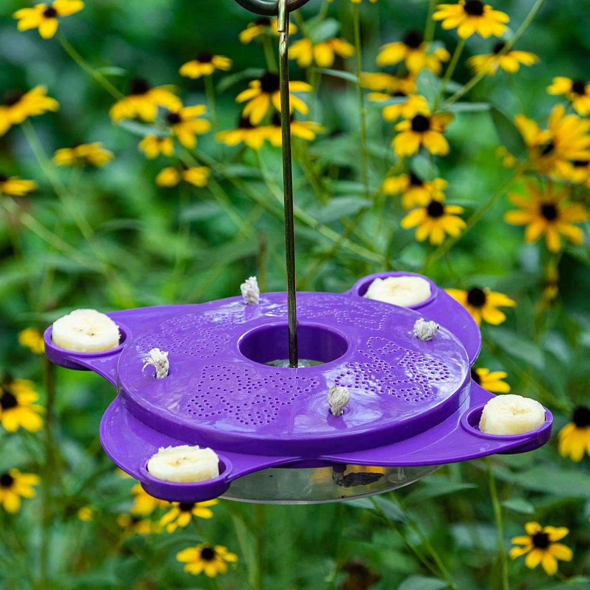 Breck's Purple Butterfly Feeder - Create a Haven for Butterflies in Your Backyard!