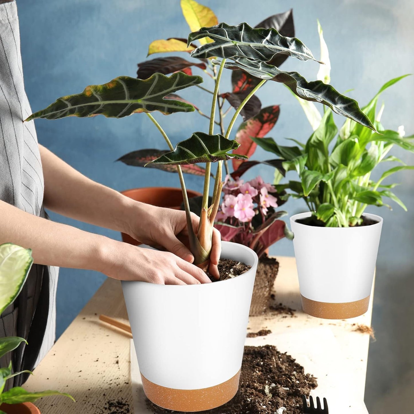 GARDIFE Plant Pots 8/7/6.5/6/5.5/5 Inch Self Watering Planters with Drainage Hole, Plastic Flower Pots, Nursery Planting Pot for All House Plants, African Violet, Flowers, and Cactus,White