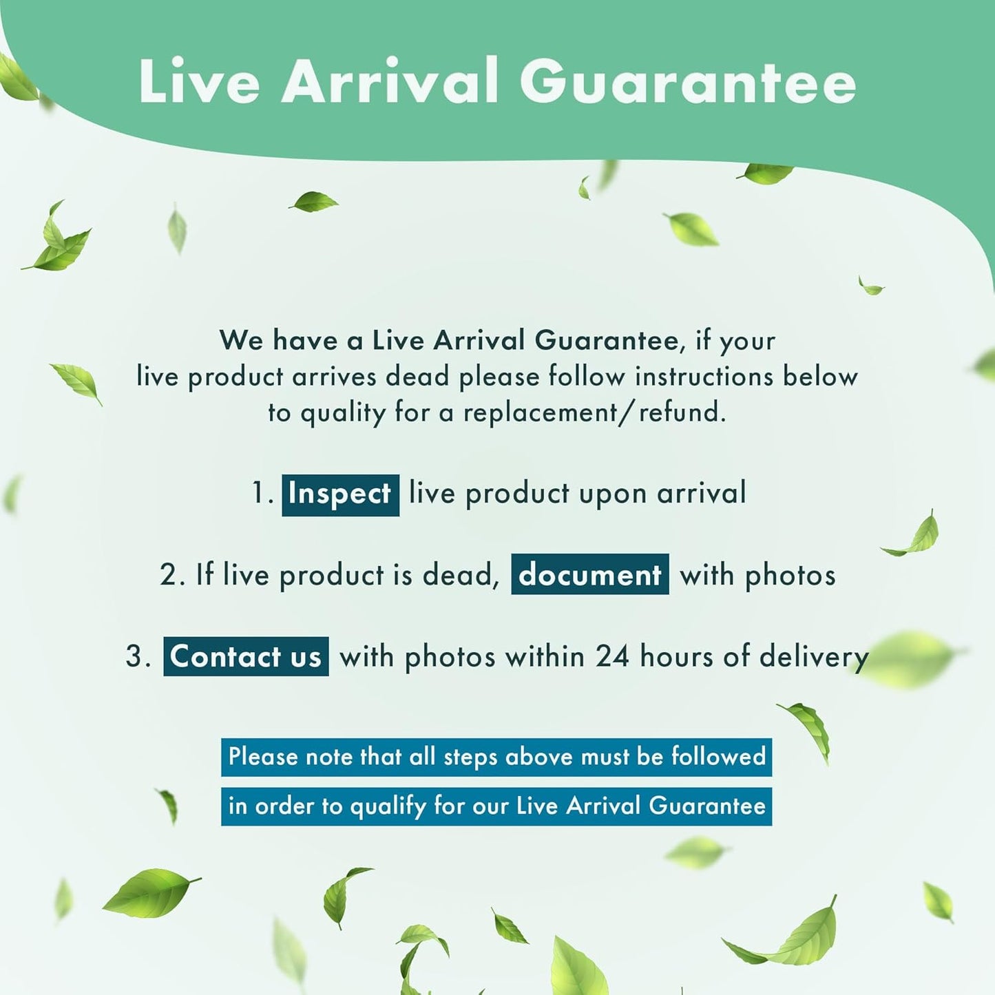 Anubias Live Aquarium Plants - Potted Freshwater Plant for Fish Tanks, Terrariums - Beginner Friendly Low Light (Nana, Mother Plant)