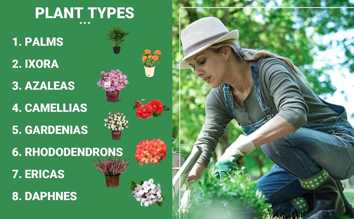 8-4-8 Professional Palm Tree Fertilizer Plant Food; for Indoor Potted Plants and Outdoor Landscape Palm Trees; Quick-Release Nitrogen Fertilizer and Continuous Feeding (3 QUARTS)