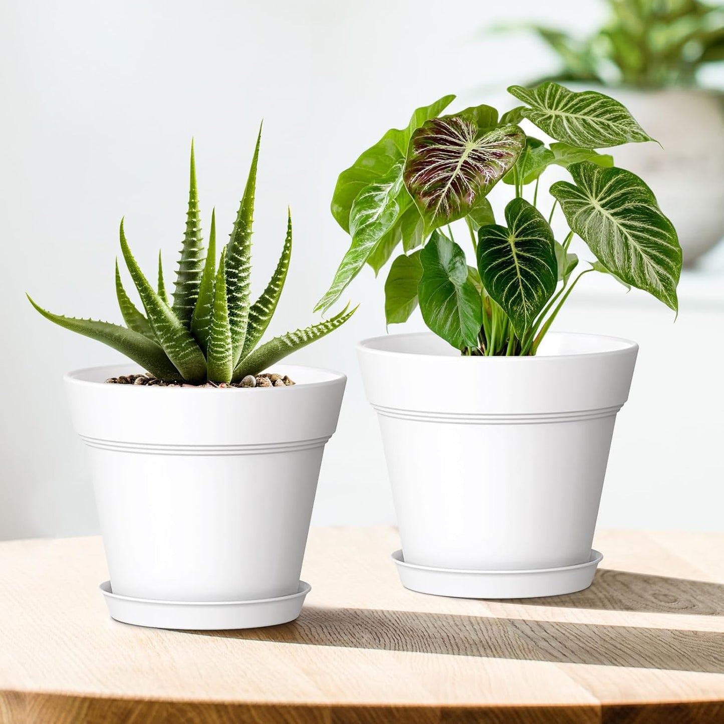 5 Inch Plastic Plant Pots with Drainage Holes and Trays – 6 Pack Small Nursery Pots for Indoor & Outdoor House Plants and Flowers, Seedling Starter Planters, White