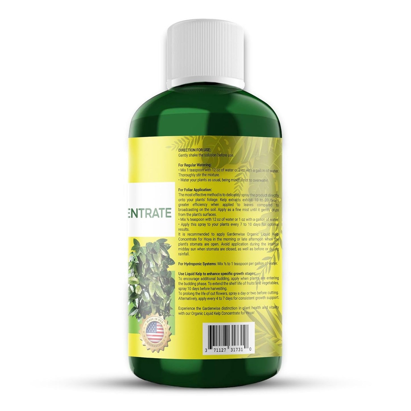 Organic Premium Kelp Seaweed Concentrate for Hoya - Liquid Fertilizer - Liquid Plant Food - Nutrient-Rich Soil Enhancer - Natural Plant Food for Hoya Plant (8 OZ), OLKC-15