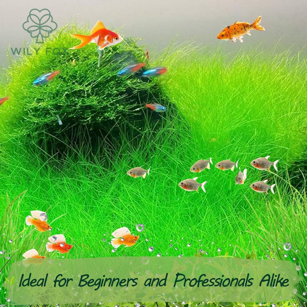 Premium Aquarium Plant Seeds for Planting β 13,000+ Live Mixed Seeds, 8 Varieties β Easy-to-Grow Aquatic Greenery for Lush, Vibrant Fish Tanks