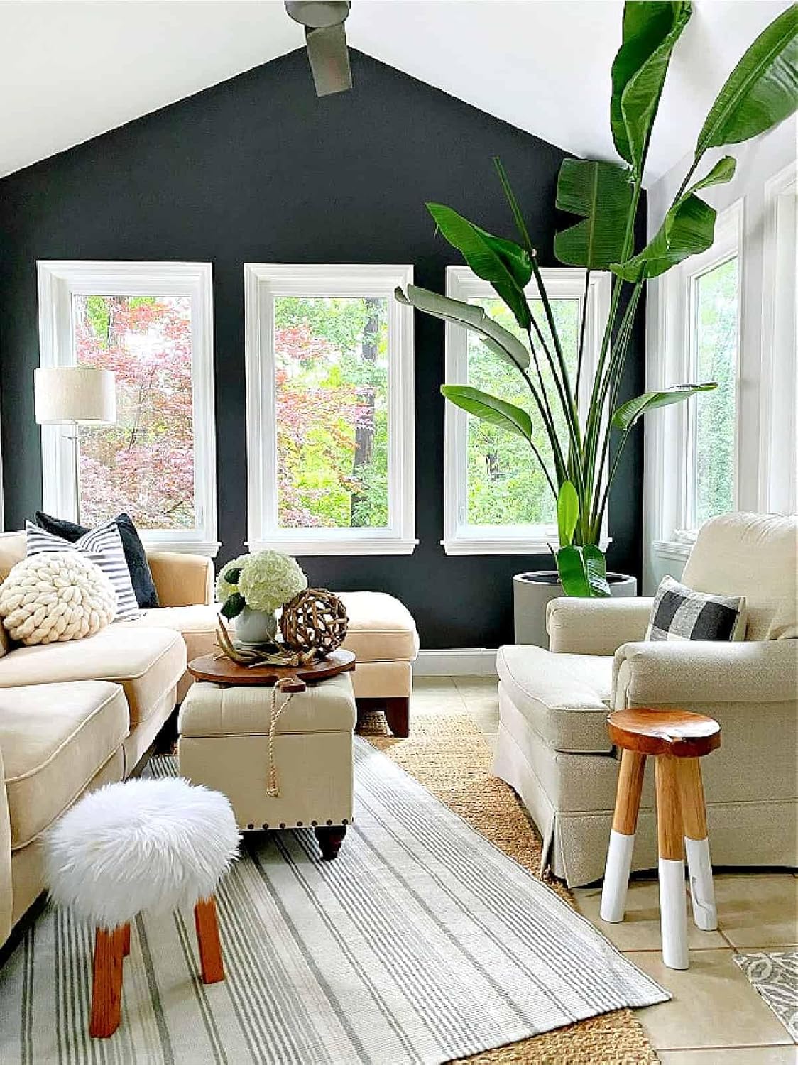 Bird of Paradise - White - Strelitzia Nicholai. (2 White BoP in Sac)