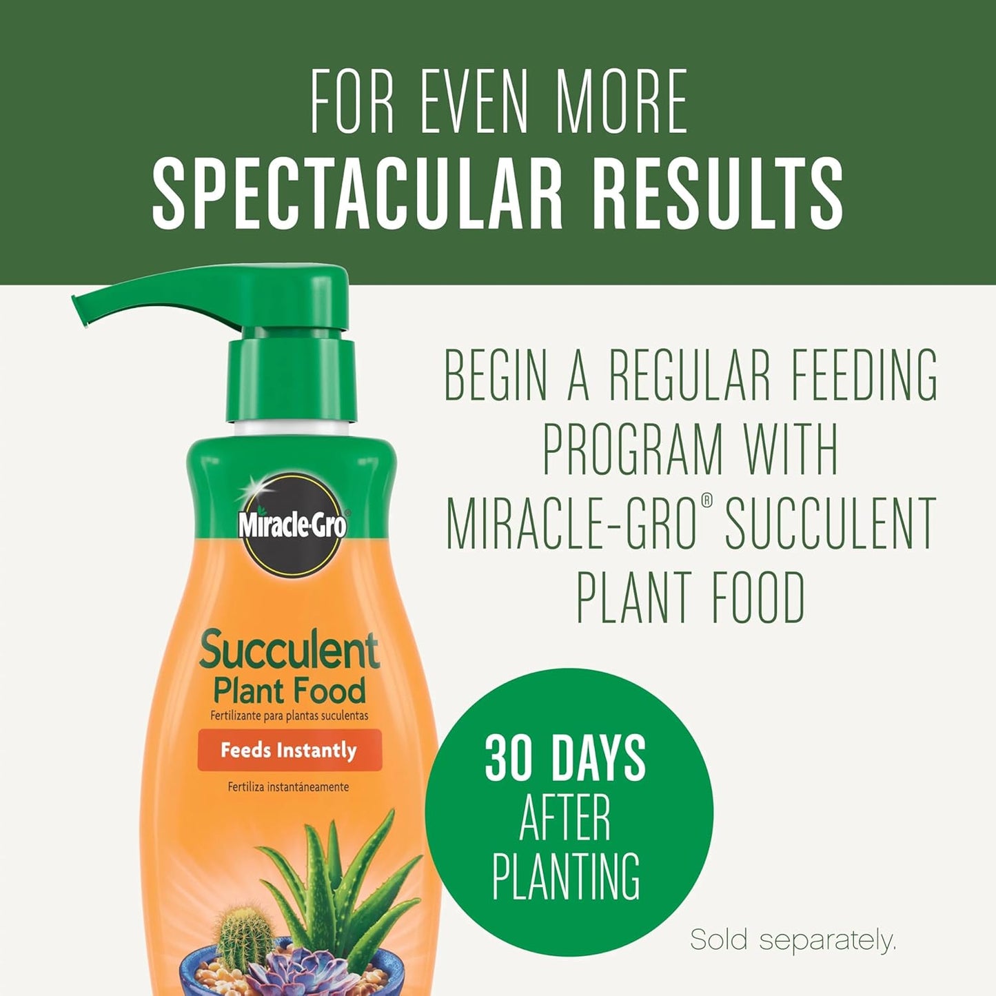 Miracle-Gro Succulent Potting Mix - Potting Soil Mix for Indoor Succulents, Aloe Vera and More, Made with Miracle-Gro Plant Food, 4 qt.