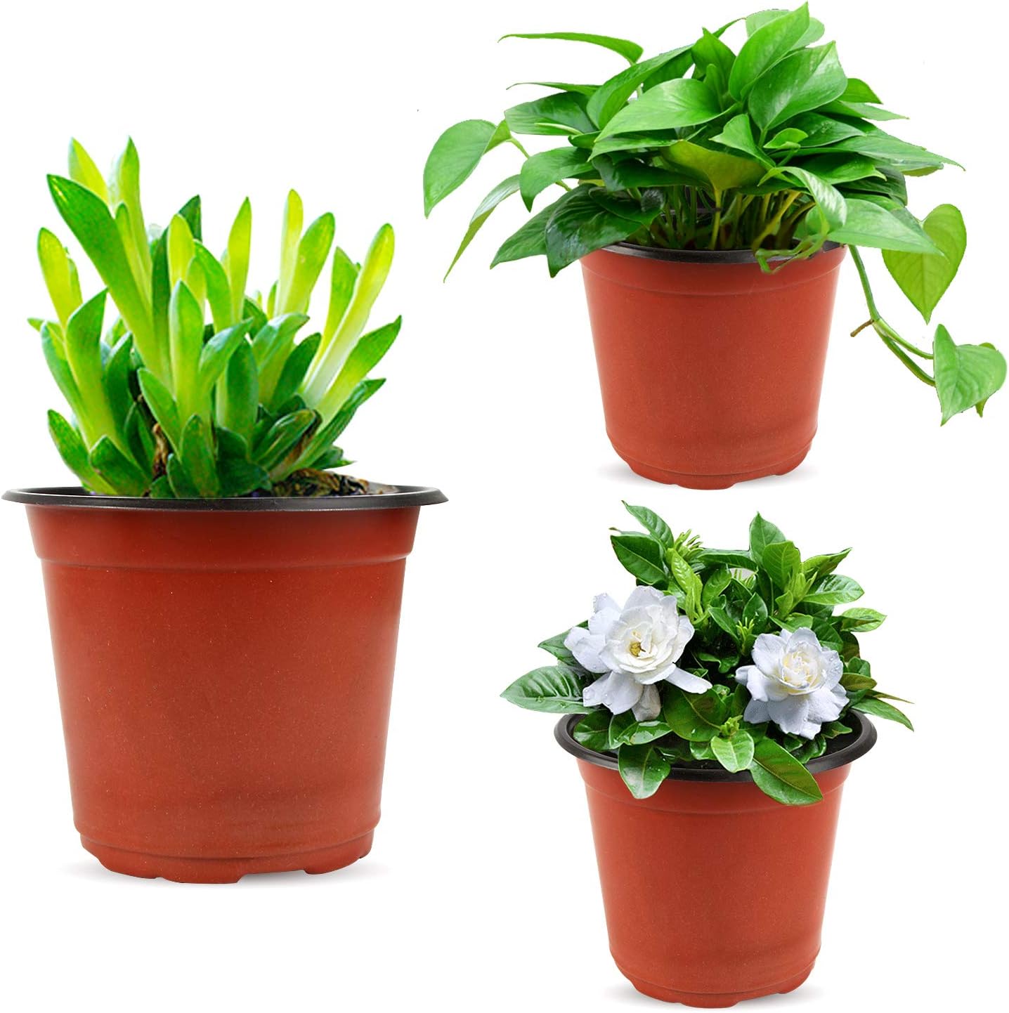 Augshy 130 Packs 6 Inches Plastic Plant Nursery Pots, Seed Starting Pot Flower Container for Succulents, Seedlings, Cuttings, Transplanting, Planter Home Docer.