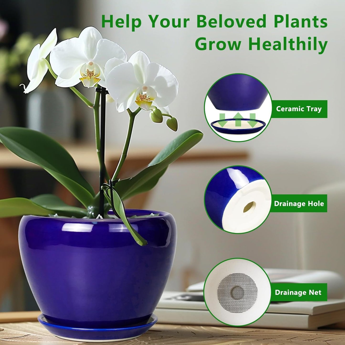6 Inch Plant Pot - Ceramic Pots for Plants Succulent Pot with Drainage Hole and Saucer Round Planter Outdoor Flower Pot for Herb Snake Plants Blue