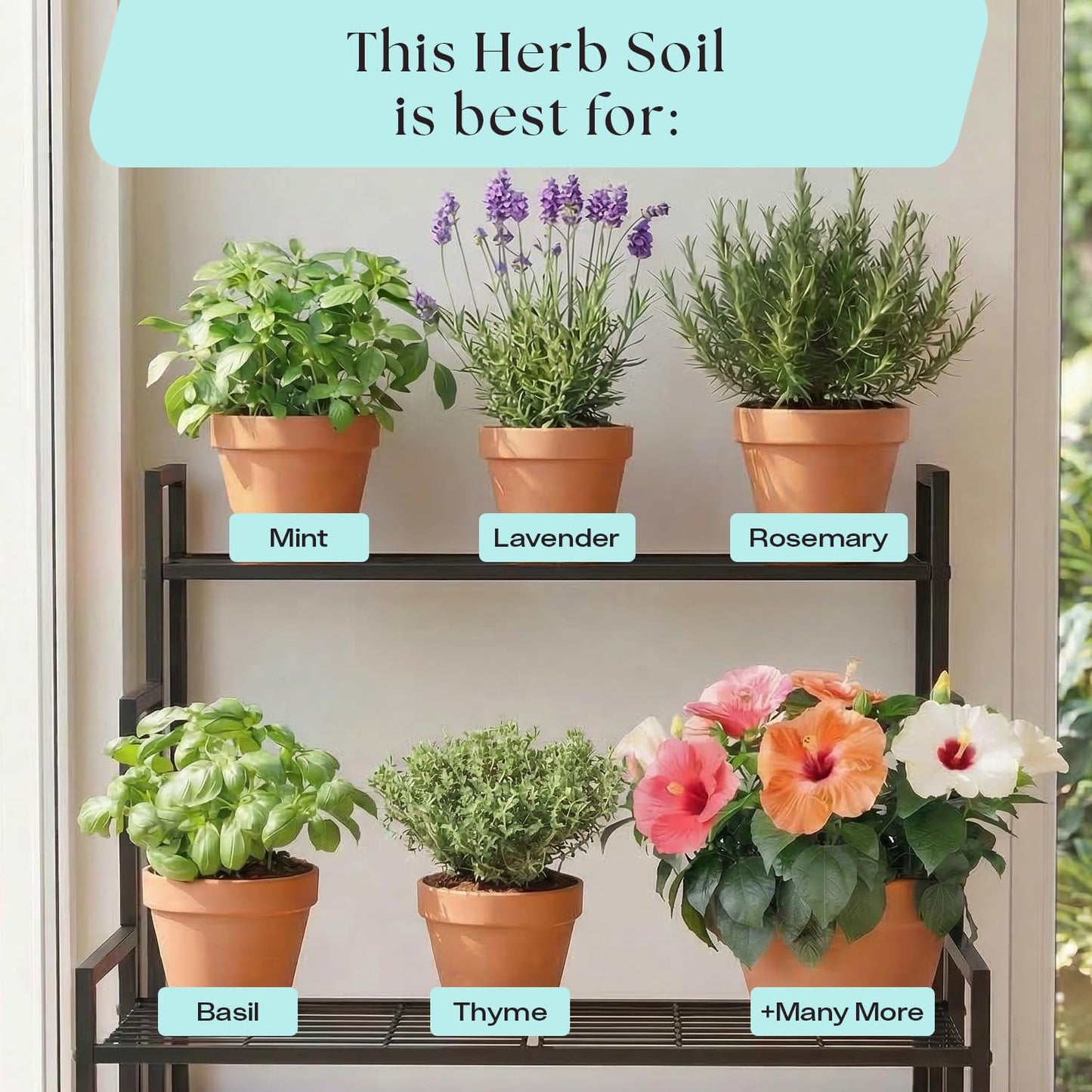 Rosy Soil Herb Mix - Organic Potting Mix for Herbs - Enriched with Biochar, Worm Castings for Root Development, Nutrient Uptake, and Strong Flavor - Fast Draining, Peat Free, Less Prone to Gnats - 4qt