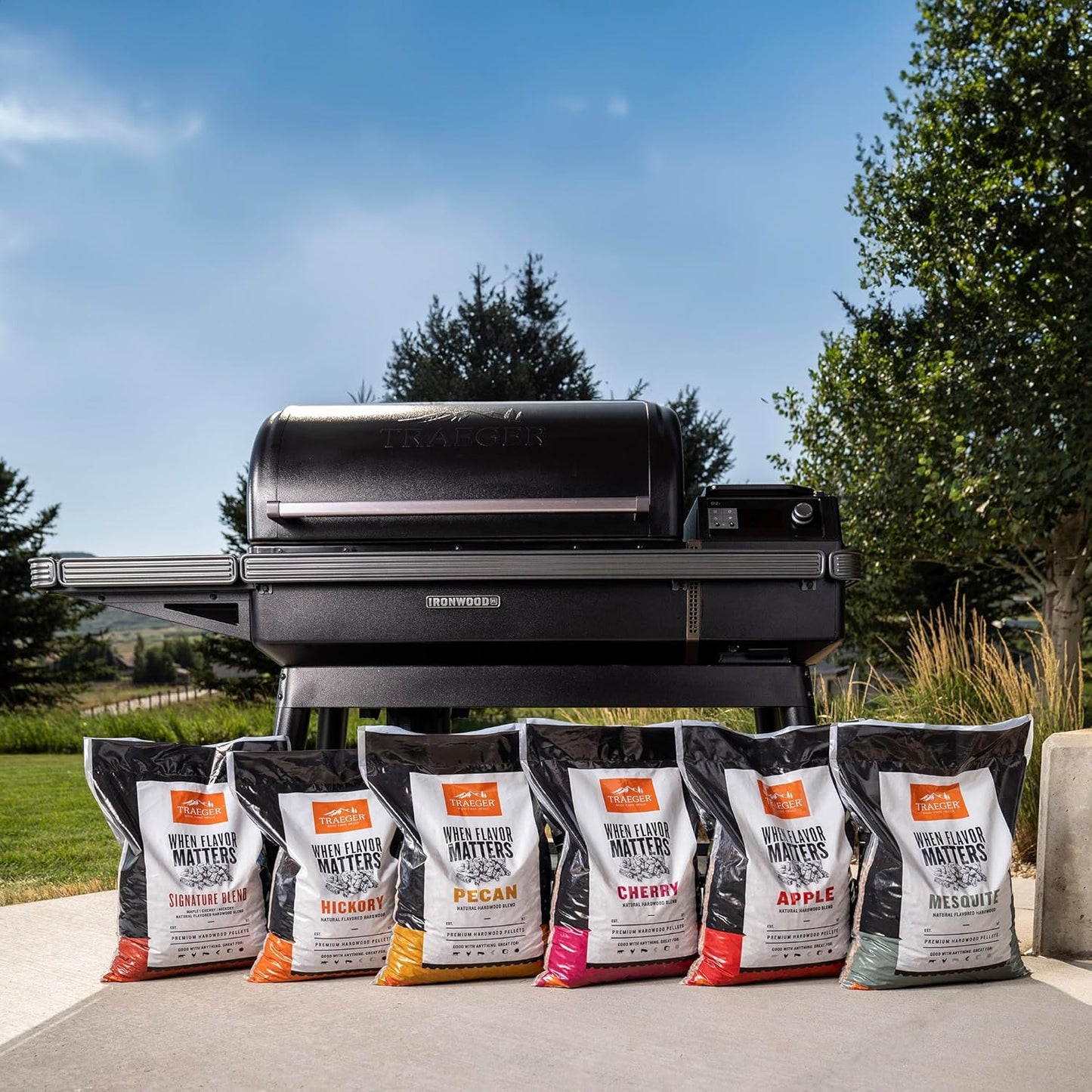 Traeger Grills Pecan 100% All-Natural Wood Pellets for Smokers and Pellet Grills, BBQ, Bake, Roast, 18 lb. Bag