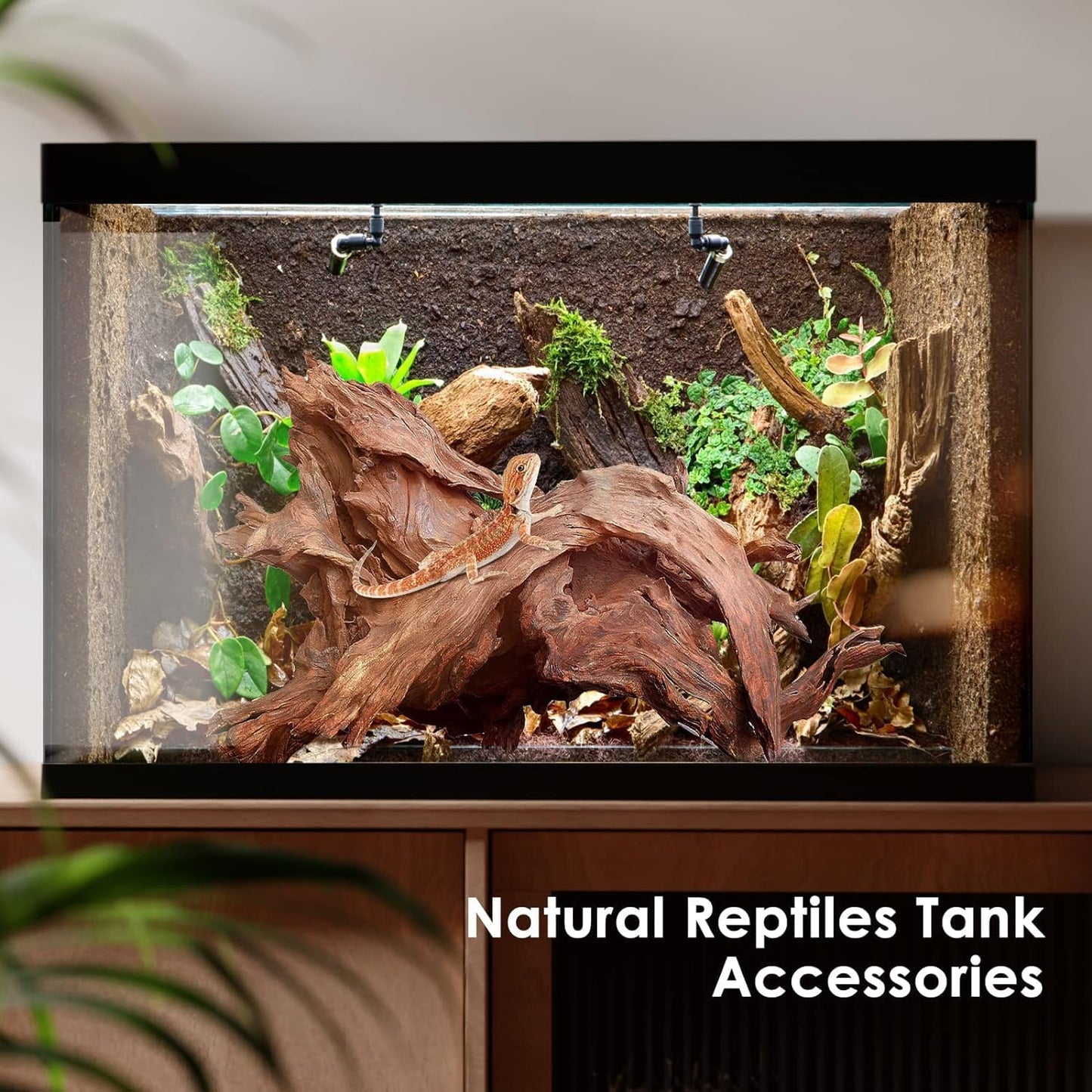 Natural Aquarium Driftwood for Fish Tanks & Reptile Terrariums – Safe Fish Tank Decorations, Unique Twisted Branches 3-Piece 7-11 Inch Low Tannin, Easy to Sink