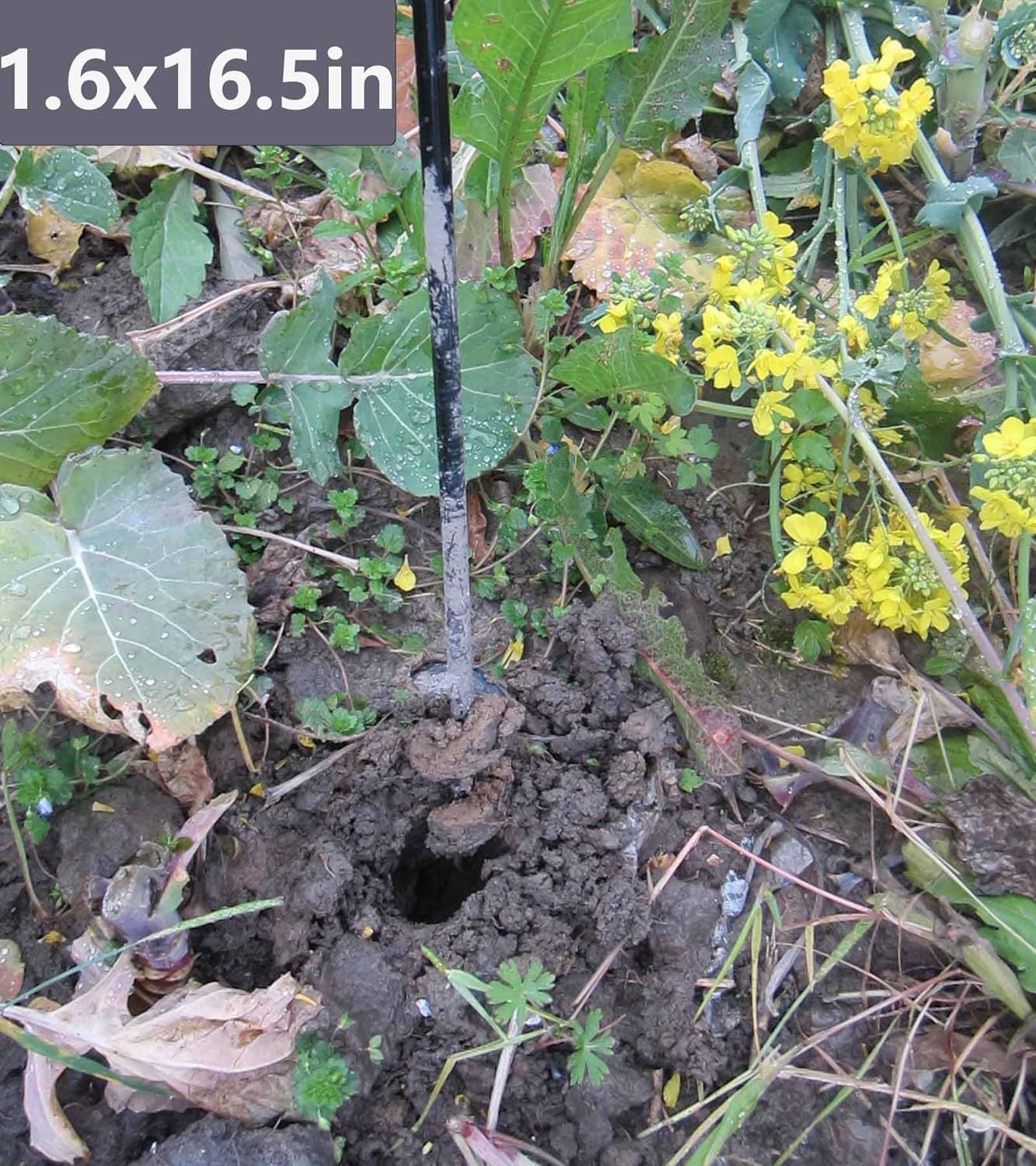 TCBWFY Garden Auger Drill Bit for Planting 1.6"x16.5"and 3.5"x16",Heavy Duty Bulb Planter Tool for Digging Holes,Compatible with 3/8" Hex Drive Drill