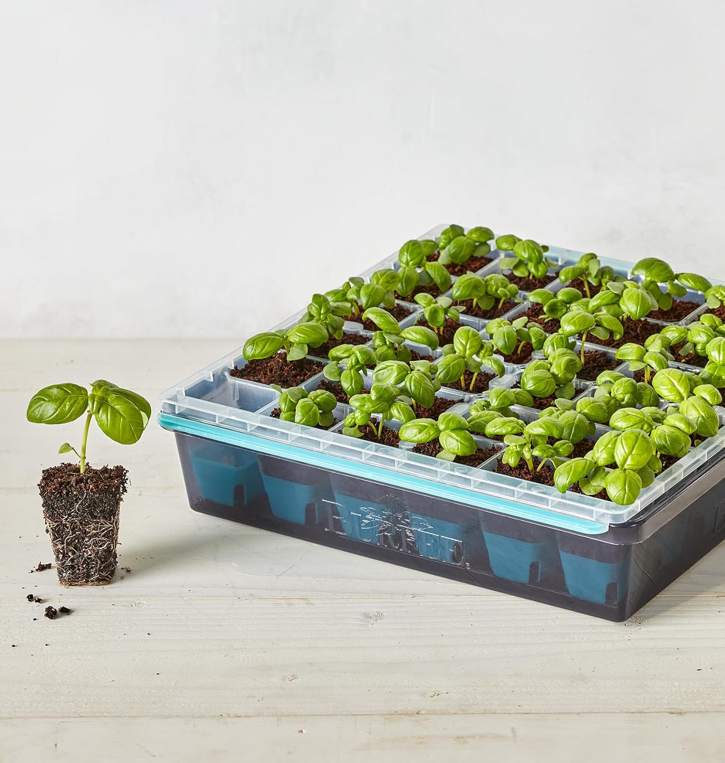 Burpee SuperSeed Seed Starting Tray | 36 Cell Reusable Seed Starter Tray | for Starting Vegetable, Flower & Herb Seeds | Indoor Grow Kit for Plant Seedlings | for Germination Success