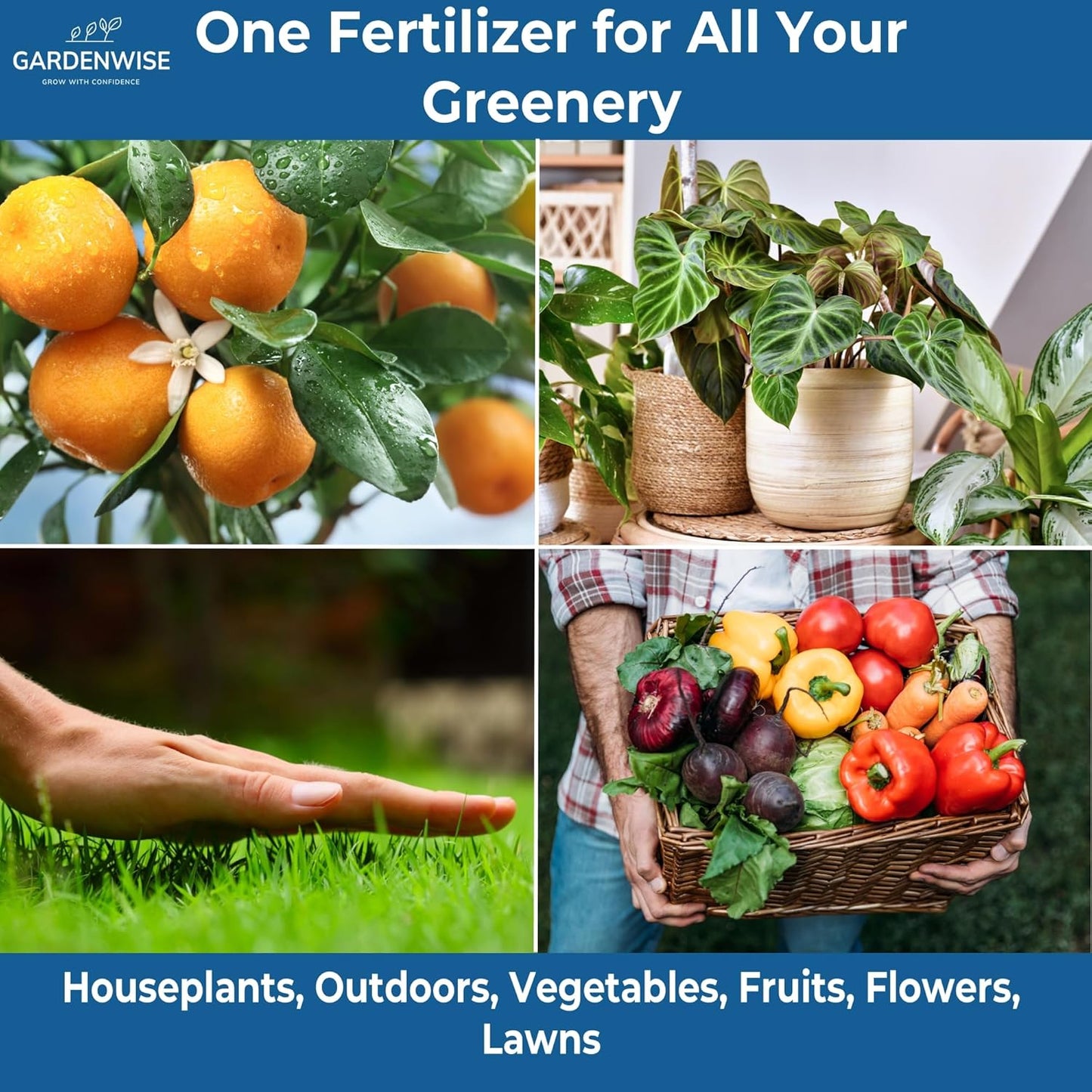 20-20-20 Water-Soluble Fertilizer β Powder for Liquid Plant Food for Indoor & Outdoor Plants, Orchids, Vegetables, Lawns, Flowers β 20 20 20 Fertilizer 2 Quarts (4 lbs)