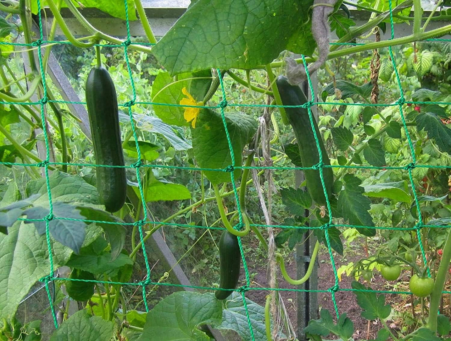 Trellis Netting for Climbing Plants - Heavy Duty Garden Trellis Netting for Cucumber, Vine, Fruits & Vegetables Tomato Plants Trellis Net, Climbing Vining Plants (1-Pack 3.3' x 6.6'Ft)