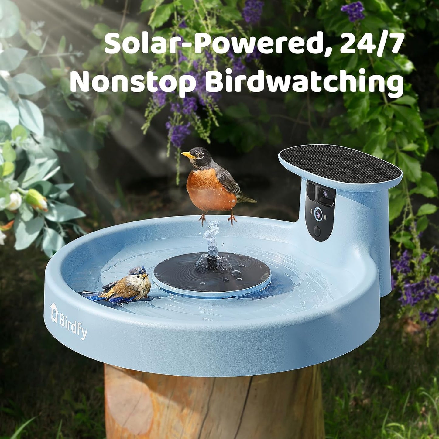 Birdfy Smart Bird Bath with Camera Solar Powered & Fountain, Dual-Lens Camera for Wildbird Watching, Auto Capture Bird Videos & Motion Detection - AI Lifetime Version