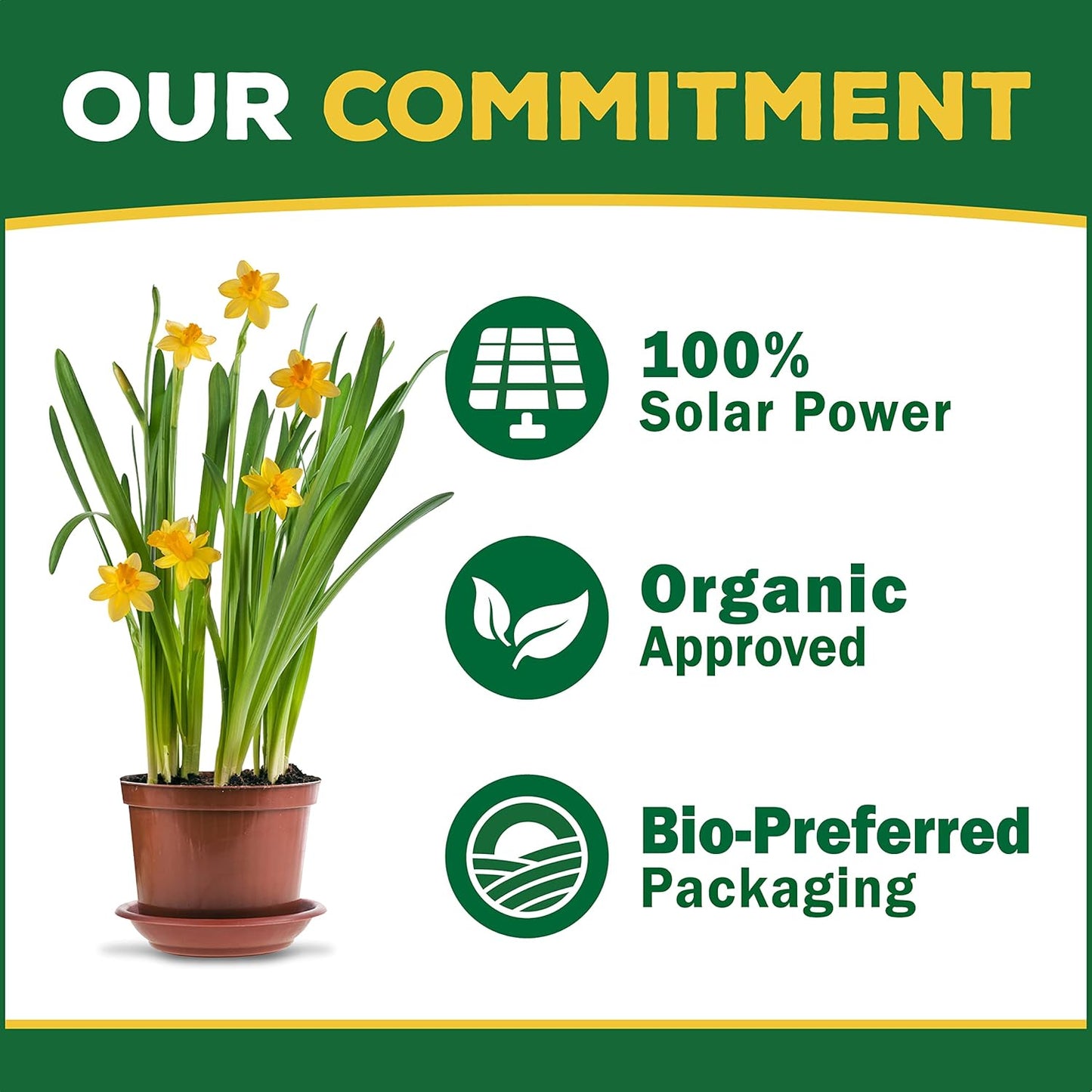 Espoma Organic Plant-Tone 5-3-3 Natural & Organic All Purpose Plant Food; 36 lb. Bag; The Original Organic Fertilizer for All Flowers, Vegetables, Trees, and Shrubs