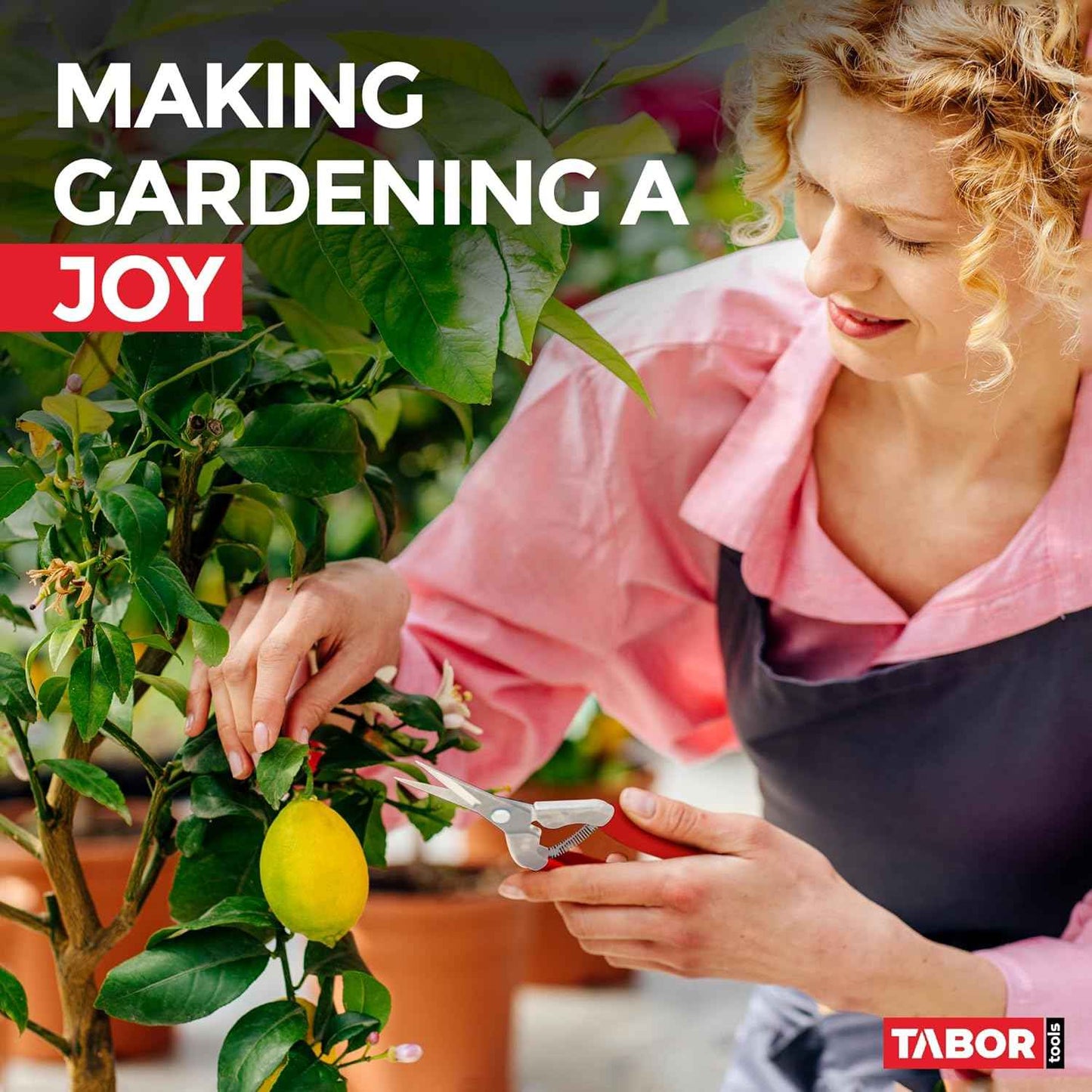 TABOR TOOLS Pruning Shears, Florist Scissors, Multi-Tasking Garden Snips for Arranging Flowers, Trimming Plants and Harvesting Herbs, Fruits or Vegetables. K17A. (Straight, Stainless Steel Blades)