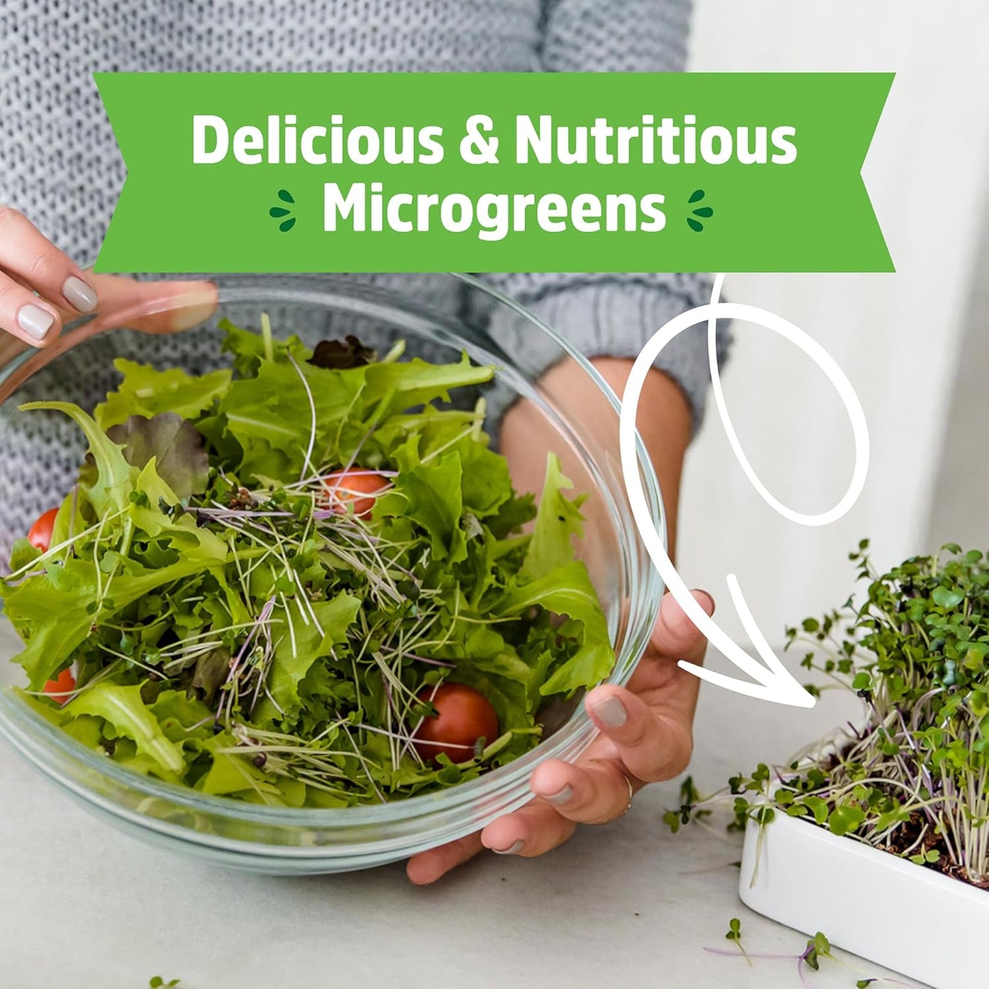 Back to the Roots Organic Microgreens Grow Kit with Ceramic Planter, Expandable Soil, Organic Seeds, and Germination Lid