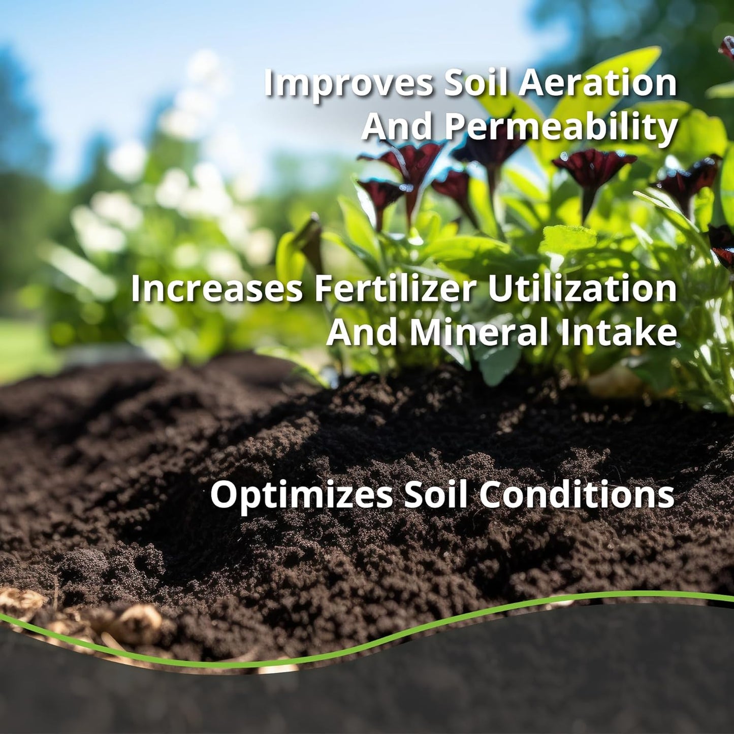 Char Bliss (8 Qts) - Organic Biochar for Plants - OMRI-Listed Biochar Soil Amendment Organic - Bio Char for Plants - Horticultural Charcoal for Plants, Potting Soil, Garden Soil, & Potting Mixes