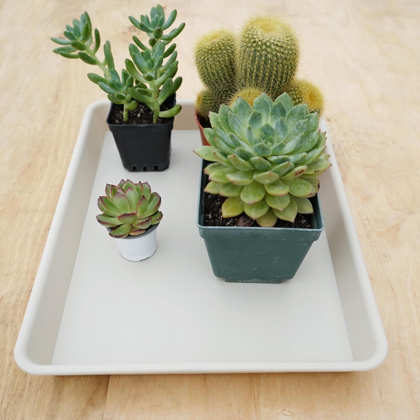 Rectangle Plant Tray, Plant Drip Tray, Plant Pot Saucers, Plant Germination Trays, Plant Saucers, 14.5'' x 11'' x 1.5'' (4 pack), Beige