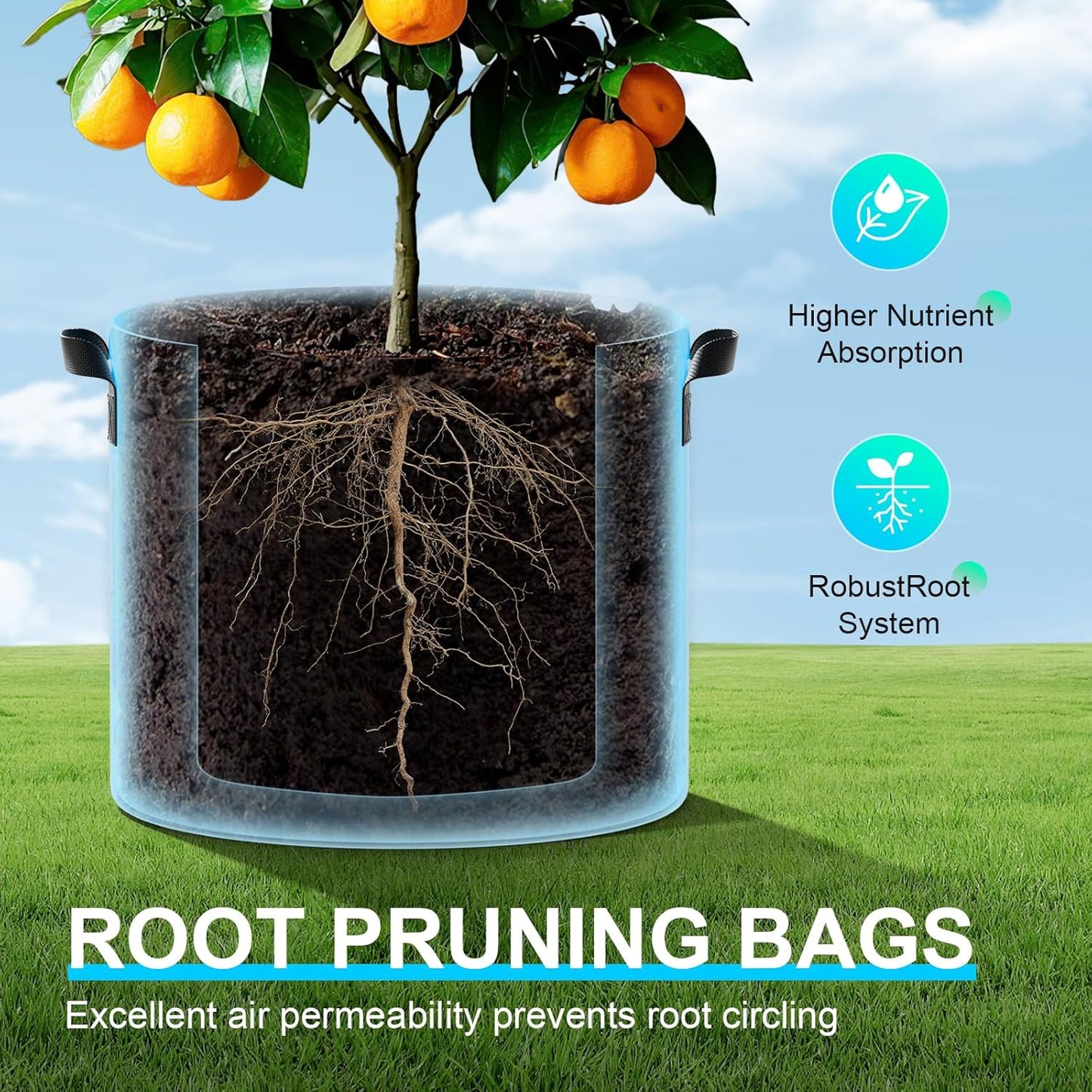 Land Guard 4-Pack Fabric Grow Bags 20 Gallon, Thickened Nonwoven Garden Pots, Growing Bags with Handles, Black