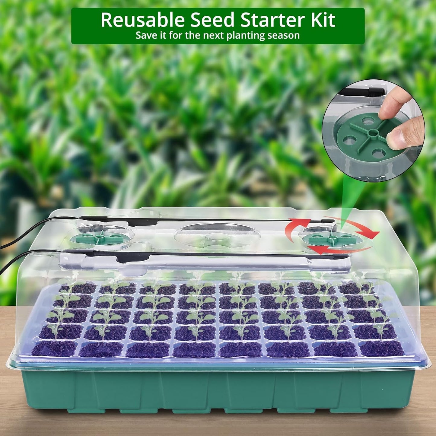 Sondiko Seed Starter Tray with Grow Light, Intelligent Display Digital Controller, 80 Cells Seed Starter Kit with Humidity Dome, Adjustable Brightness Indoor Plants Germination Kit(2 Pack)