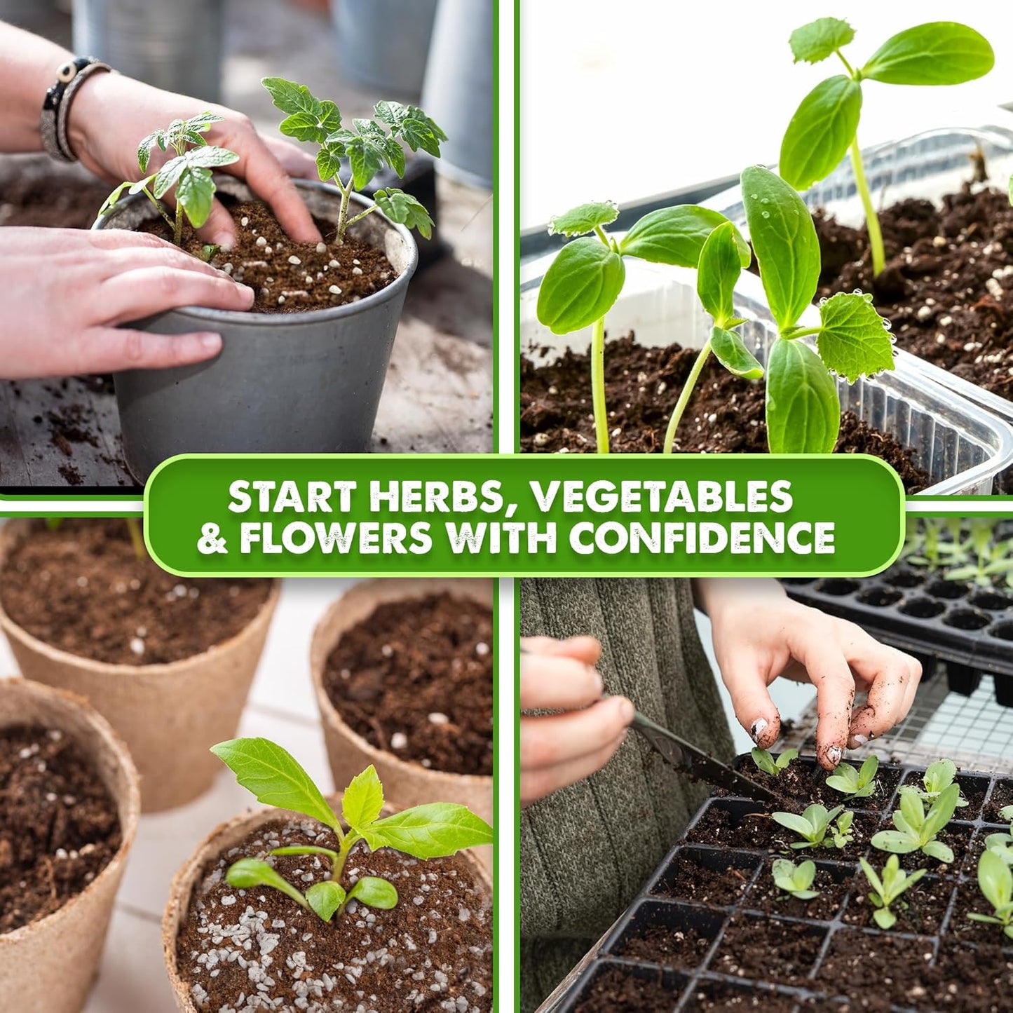 Seed Starter Potting Soil Mix, 8 Dry Quarts, Ready-to-Use Peat-Free Coco Coir Seed Starting Mix 4-in-1 Blend with Perlite, Vermiculite & Worm Castings for Germination & Seedlings