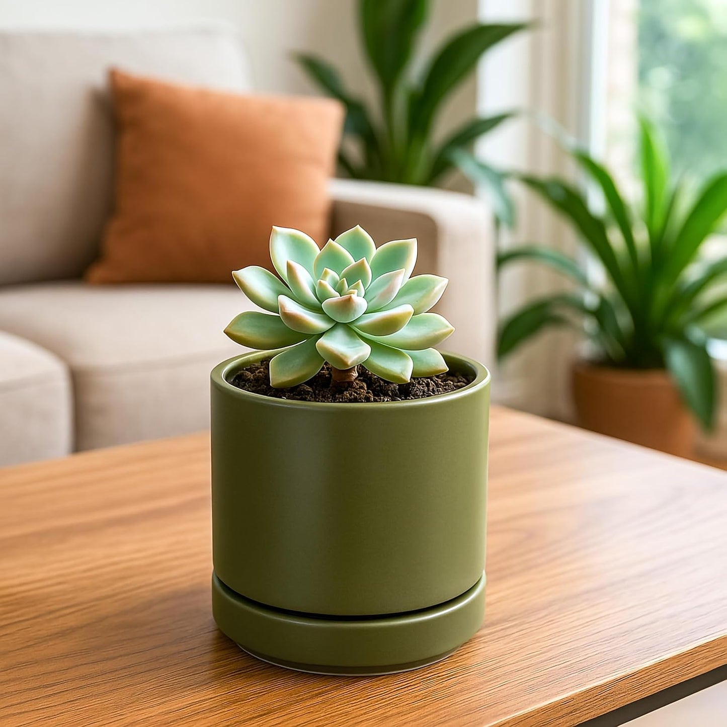 D'vine Dev Set of 4 Small Ceramic Plant Pots, 4.6 Inch Succulent Planter Pot for Plants with Drainage Hole and Saucer, Olive, 94-X-B-0