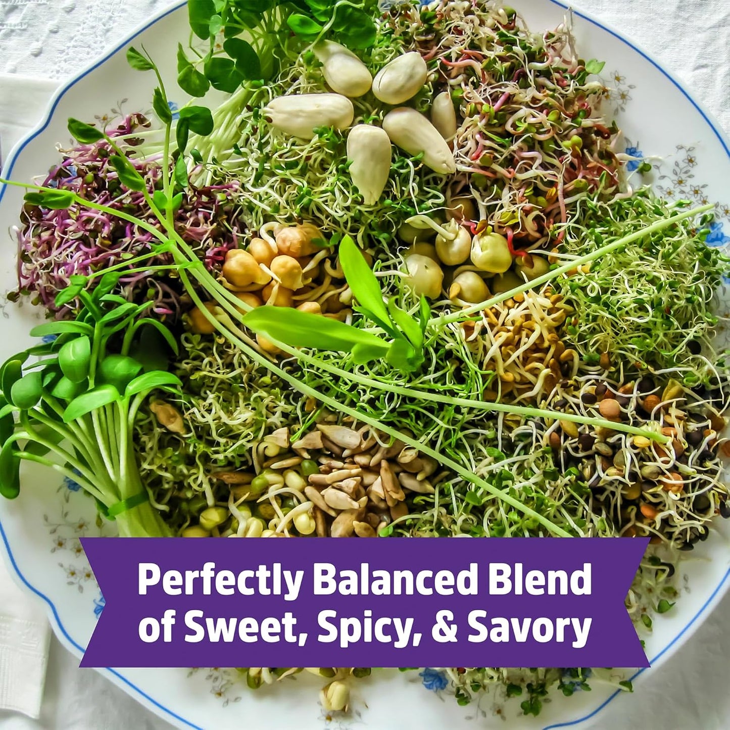 Back to the Roots 100% Organic 5-Part Salad Seeds | 1 Pound Non-GMO | Nutrient Dense, Easy to Grow, Rich in Fiber