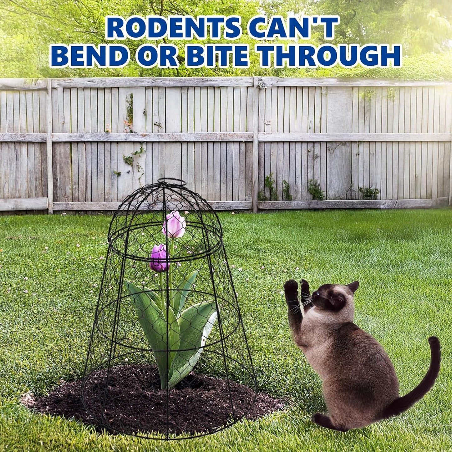 Garden Cloches for Plants - Set of 6 Chicken Wire Plant Cages and Plant Protectors from Animals, 17.7" H x 12.8" D, Outdoor Vegetable and Flower Cages, Sapbontchi Chicken Wire Cloche