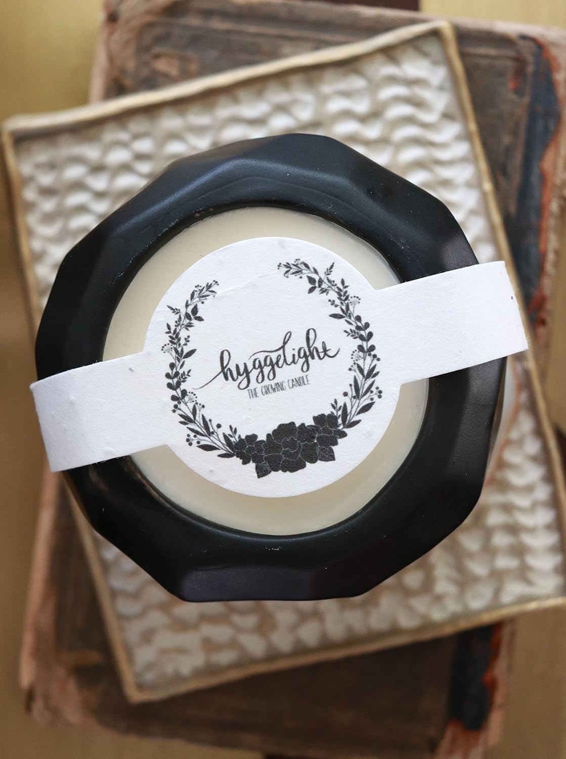 The Growing Candle, Lemongrass Scented, 13oz Ceramic Pot, Single Wick Aromatherapy Candles, 100% Soy for Women and Men, Emma