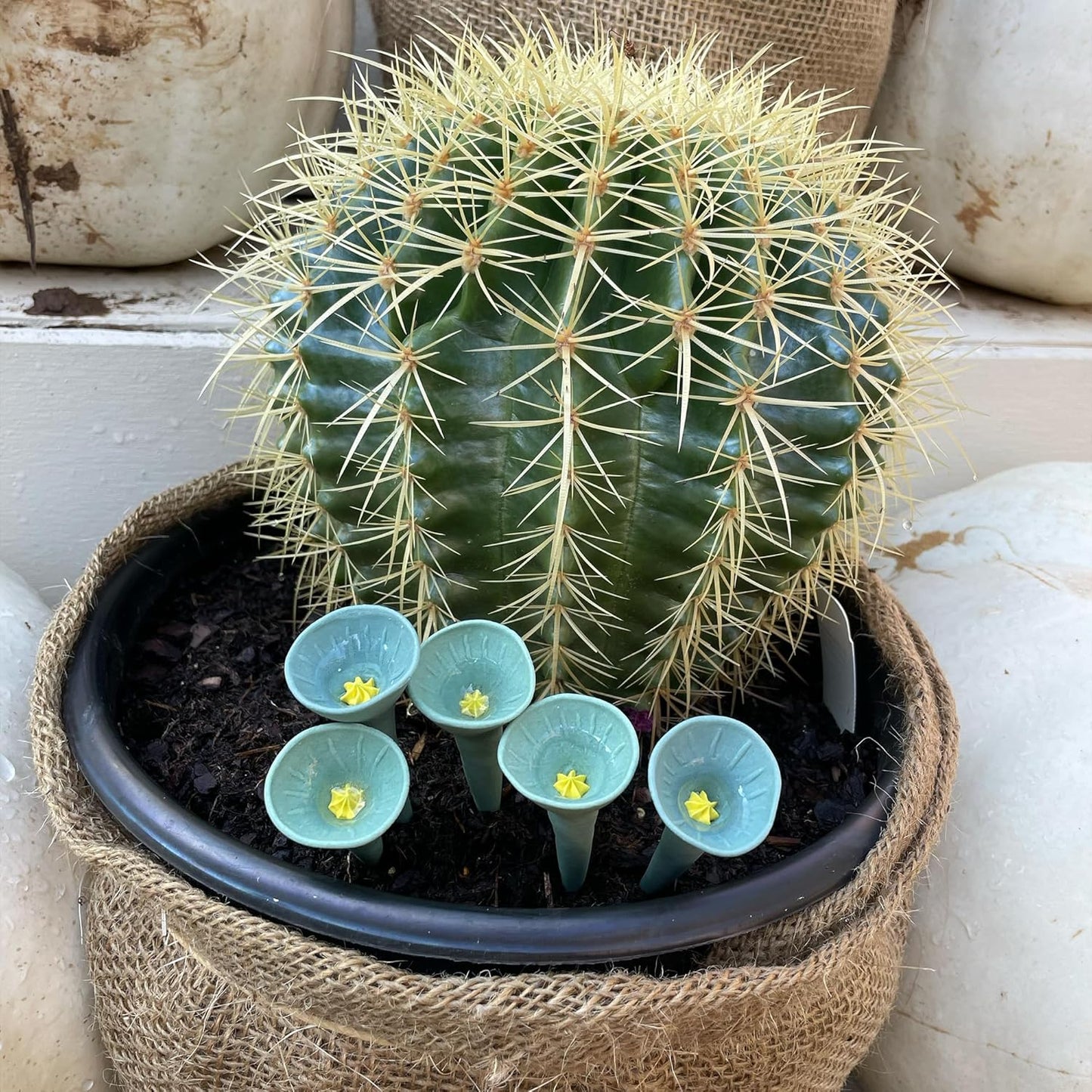 3 Pack, Bee Watering Station, Butterfly Feeder, Bee Feeder, Garden Decor, Bee Decor, Outdoor Garden Decor, Plastic Free, Handmade from Porcelain (3, Cactus)