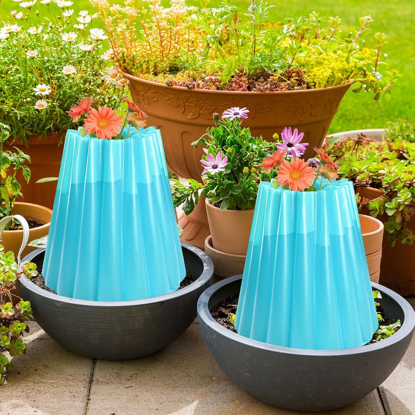 Adnee 5 Pack Water Filled Plant Protectors-19 x 17 Inch Reusable Wall of Water Plant Covers for Tomato Plants-Blue Early Season Insulating Plant Protective Cover for Outdoor Winter Freeze Protection