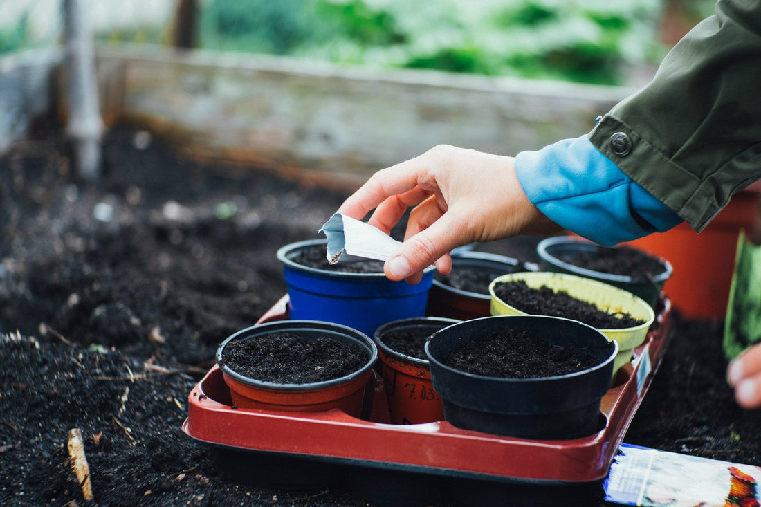 Smart Gardening: 4 High-Tech Tools That Do the Work for You