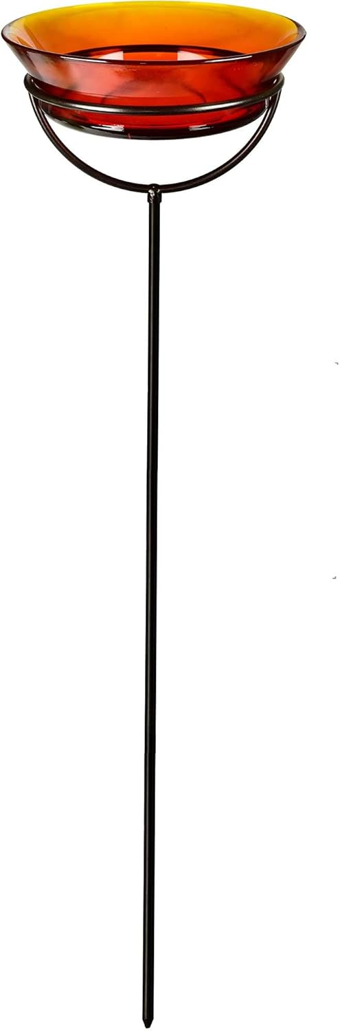 Backyard Birding & Wildlife