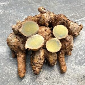 Green Turmeric Live Plant - (Curcuma aeruginosa) - Rare Medicinal Herb, Vibrant Pink Flowers, Ideal for Tropical Gardens (4 Green Turmeric Bags)