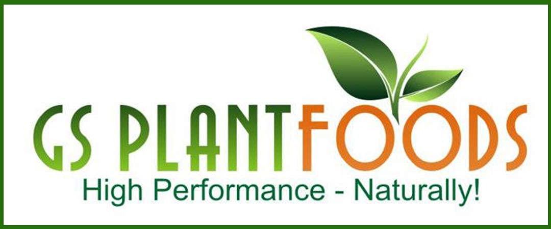 Omri Listed Fish & Kelp Fertilizer by GS Plant Foods (1 Gallon) - Organic Fertilizer for Vegetables, Trees, Lawns, Shrubs, Flowers, Seeds & Plants - Hydrolyzed Fish and Seaweed Blend