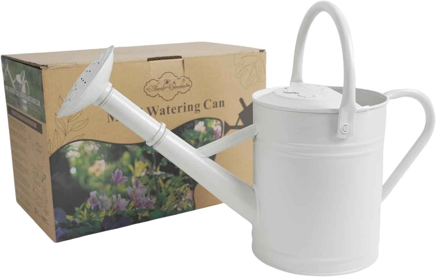 1 Gallon Metal Watering Can for Indoor Plants Outdoor Plants, Large Water Can, Garden Water Can for Kids, Detachable, Water Can with Handle, White