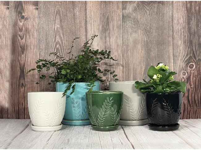 Aspen & Fig White 8 Inch Indoor Ceramic Plant Pot with an Attached Saucer and Drainage Hole for House Plants, Herbs, Flowers, Succulent Plants, Snake Plants, Gifts for Mom, Standard Pot