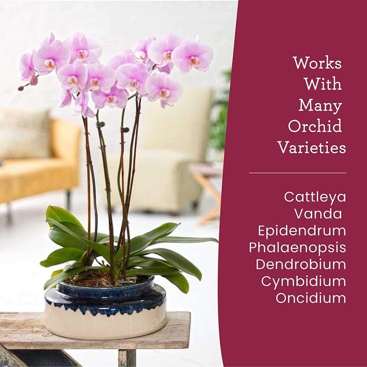 Orchid Fertilizer Spray – Nourishing Liquid Plant Food Mist for Healthy Orchids – Easy-to-Use Nutrient Boost for Vibrant Blooms & Healthy Roots – Made in USA – 8 oz