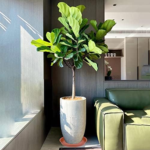 2 Pack of Bird Bath Bowl 14 inch, 1.6" Depth, 12 14 16 18 19 inch Heavy Duty BirdBath Bowls only, Plastic Round Large Plant Saucer Dish for Garden (14", Terracotta)