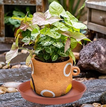 4 Pack of 10 inch Plant Saucer, Bird Bath Bowl 10 inch, Plant Tray for Pots, Plant Saucers for Indoors, Plant Trays for Planter 8"/9"/10" (10 inch, Terracotta)