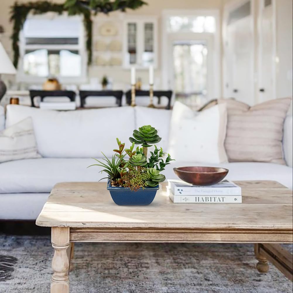 Small Faux Plant Assorted Fake Succulents Plants with Glazed Ceramic Pot Faux Succulents Arrangement Cement Potted Desk Plants Small Fake Plants for Home Table Office Bathroom Shelf Living Room Decor