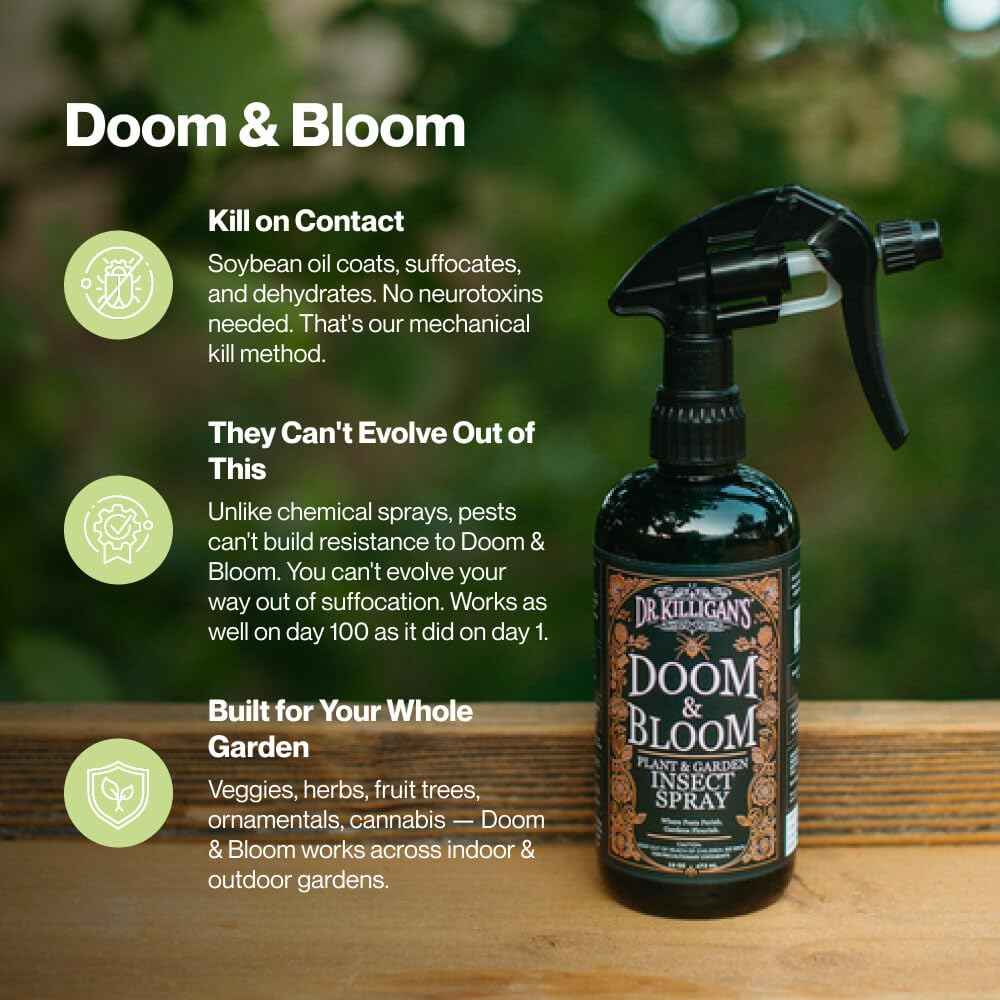Dr. Killigan’s Doom & Bloom House Plant Pest Spray - for Outdoor & Indoor Gardening, Kills Aphids, Spider Mites & Thrips on Contact, with Adjustable Trigger Sprayer (16 oz)